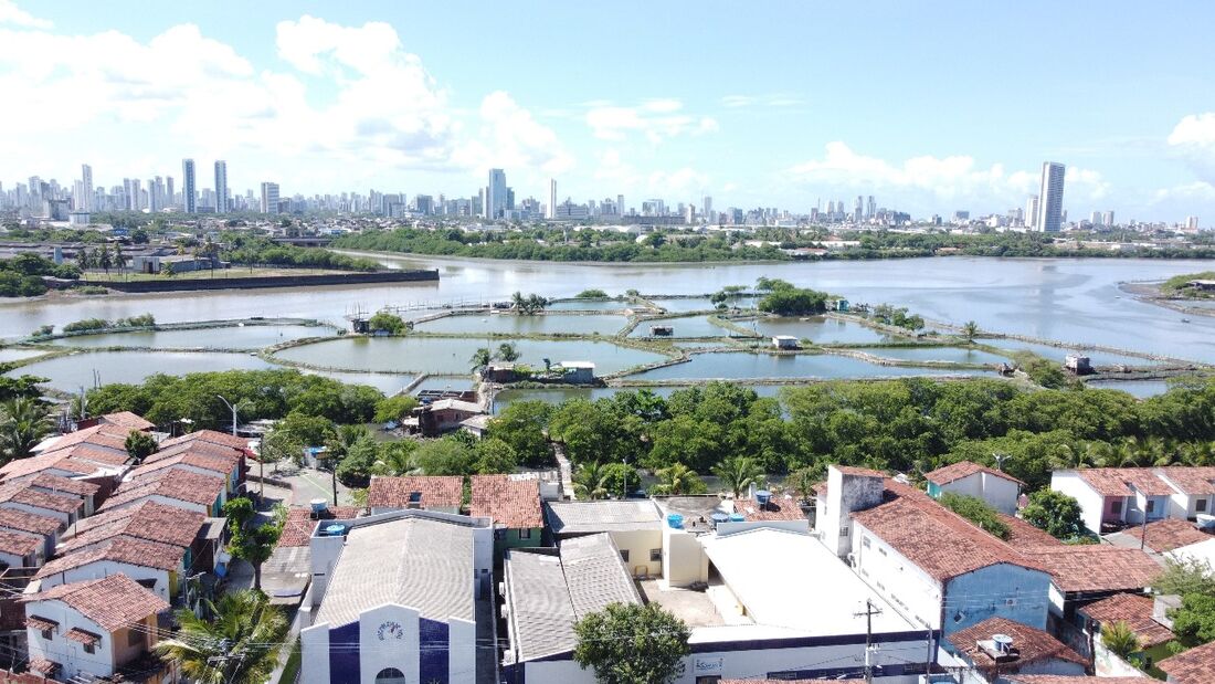 Tanques produtivos na Ilha de Deus, no Recife