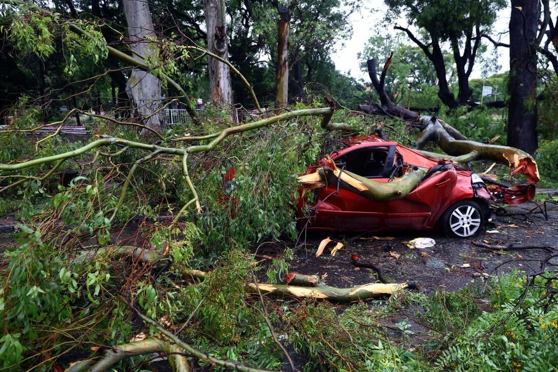 Carro ficou destruído pela queda de uma árvorea após uma forte tempestade na Argentina