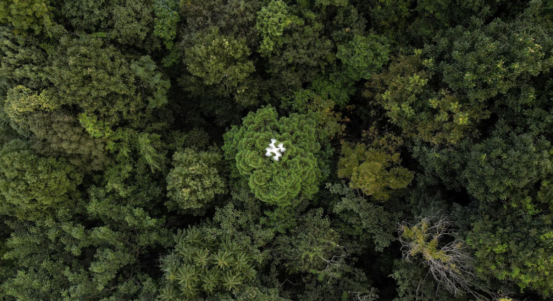 Foto aérea de drone sobrevoando floresta