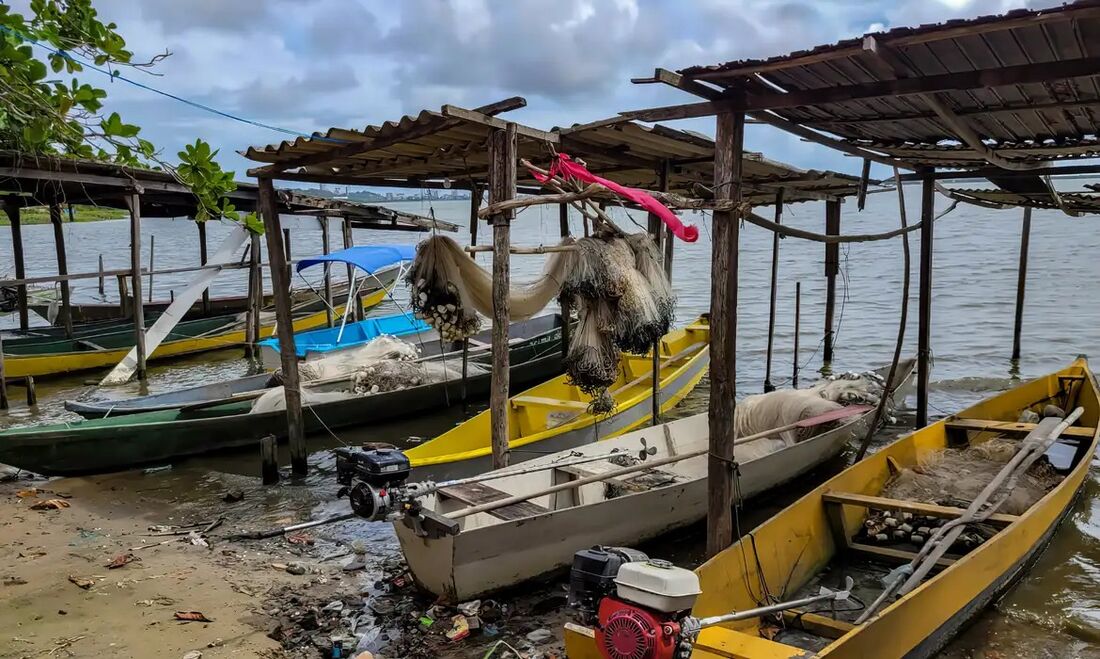 Desastre da Braskem atinge pescadores