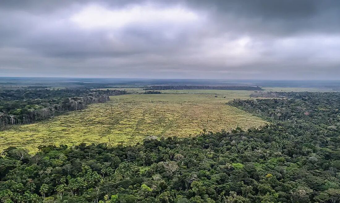 Acabar com o desmatamento legal é uma das medidas sugeridas para o Brasil zerar a emissão líquida de gases doo efeito estufa até 2050