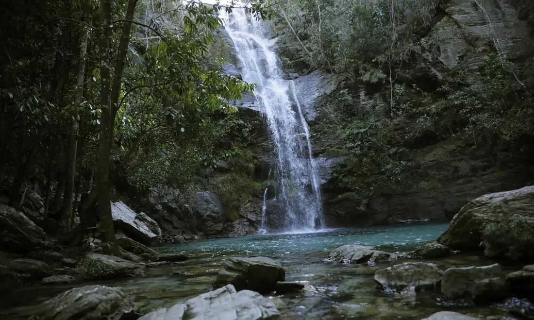 Governo relança Quilombo das Américas com foco ambiental