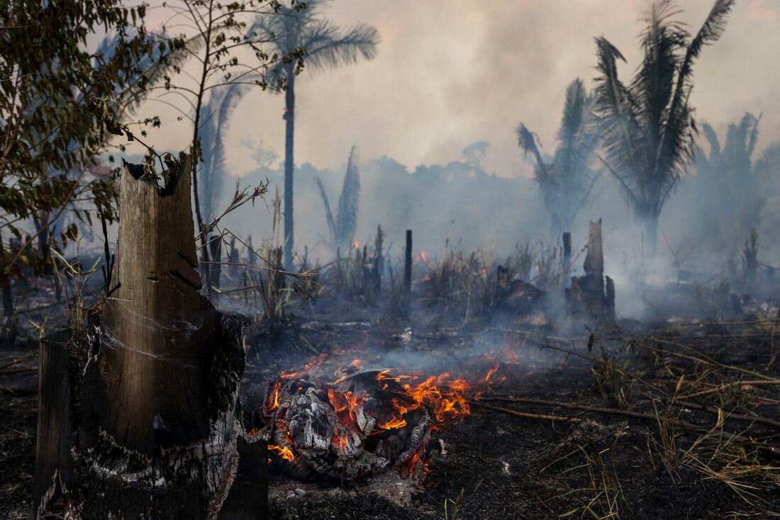 Vista de uma área queimada da floresta amazônica em Apui, sul do estado do Amazonas