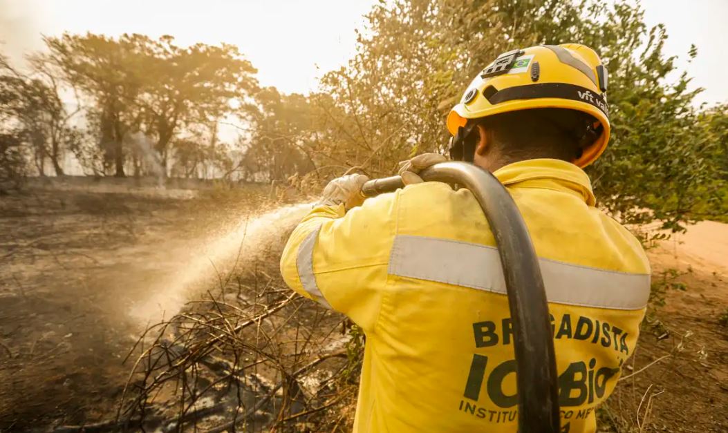Aumento de 6% em relação a 2022, quando 16,3 milhões de hectares foram atingidos pelo fogo