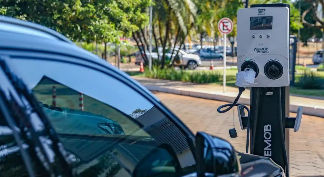 Medida visa desenvolver cadeia de produção nacional