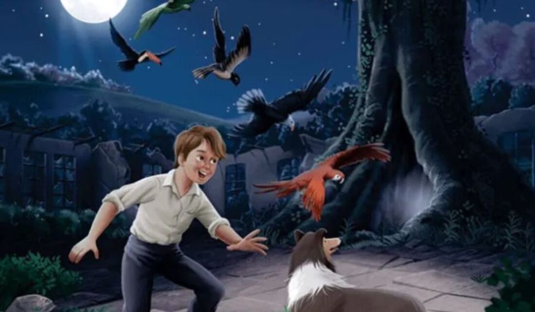 Livro é o primeiro da escritora carioca Andréa Diniz