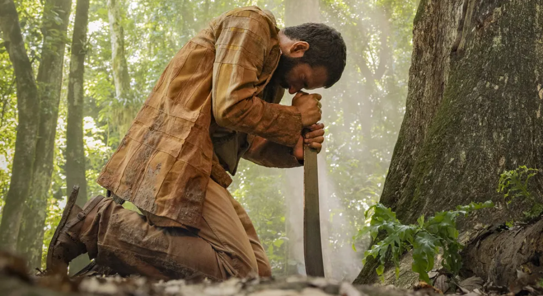 O autor Bruno Luperi refuta as constantes e incessantes comparações de "Renascer" com "Pantanal"