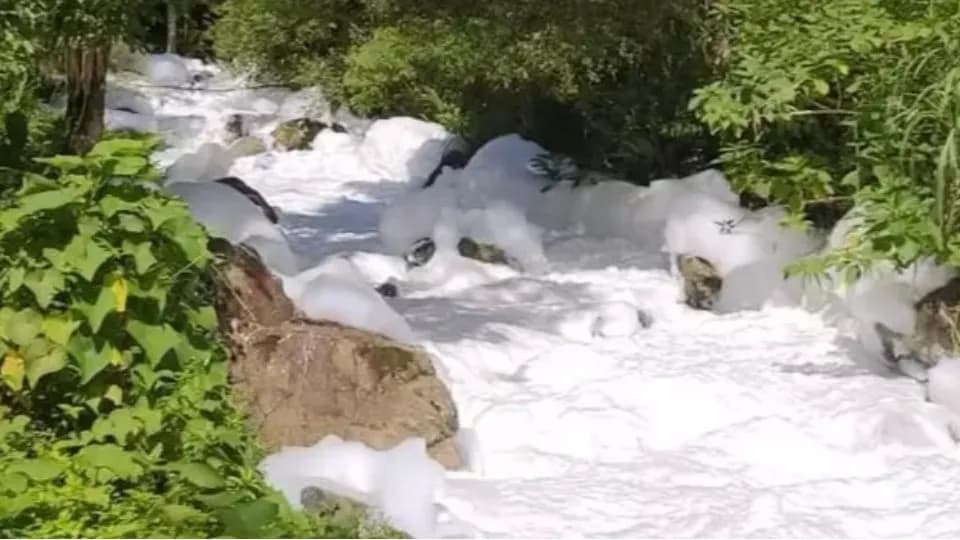 Ácido sulfônico chegou a cursos d'água e formou uma espuma branca