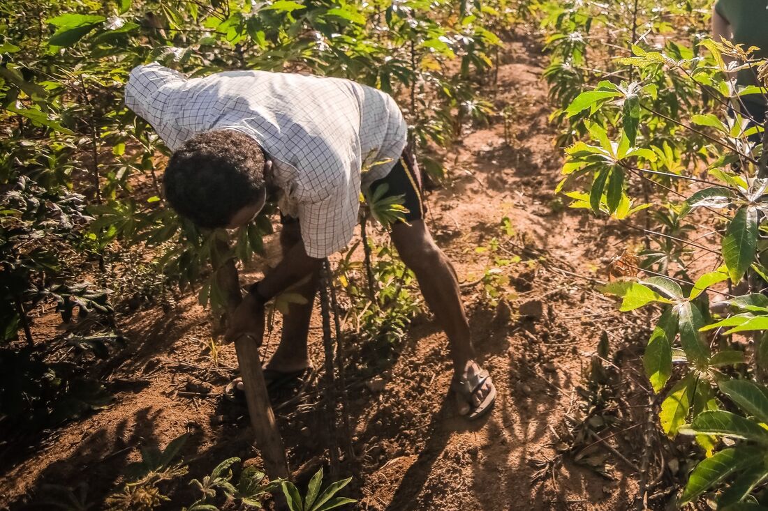 Objetivo é ampliar o acesso dos pequenos produtores(as) às linhas de crédito para impulsionar a produção