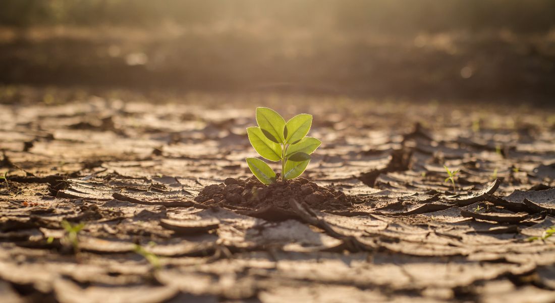 Mudança climática 