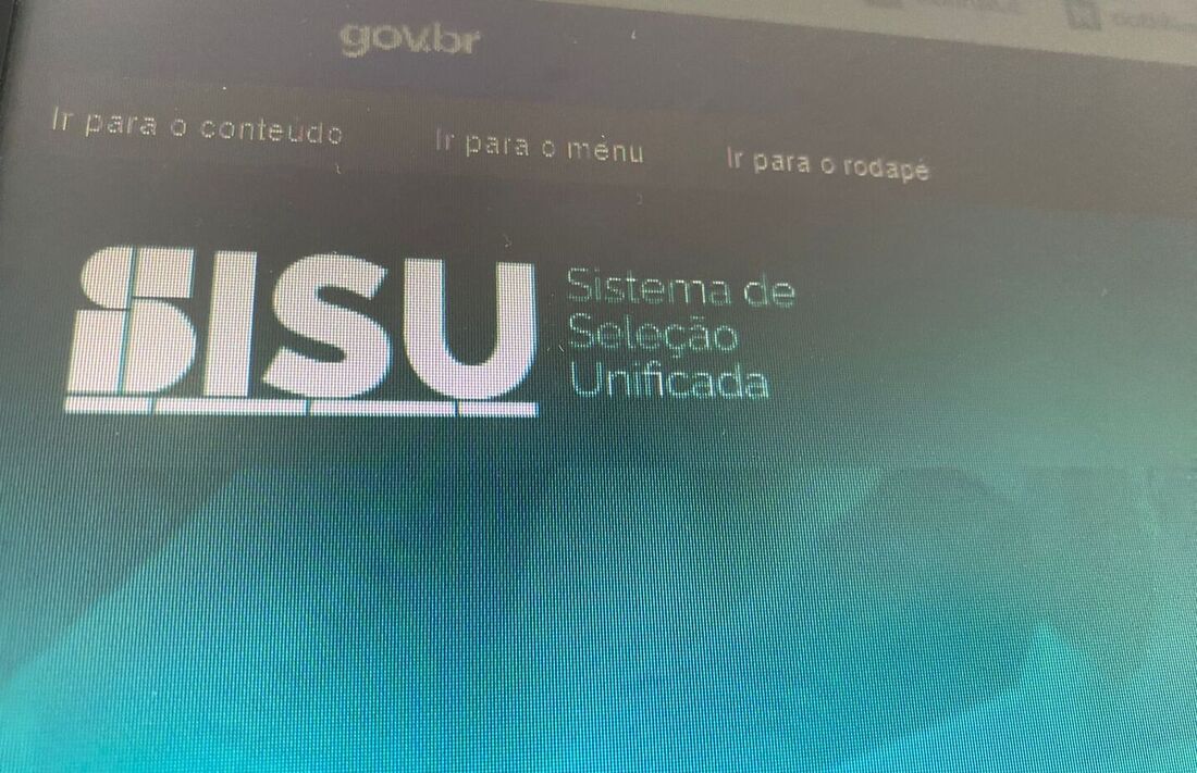 Sisu 