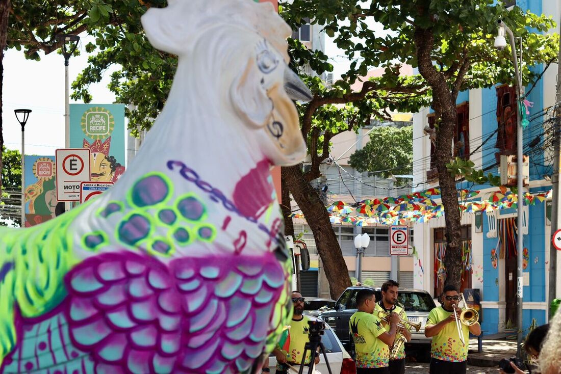 Após corrida, Galos serão distribuídos pelo centro do Recife