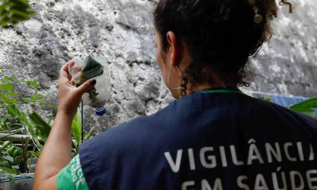 Casos de dengue estão em alta no Brasil