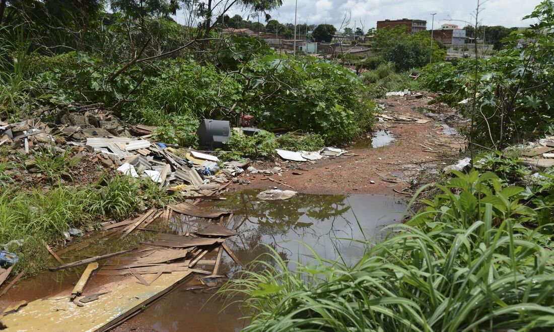 Água parada serve de criadouro para a proliferação do Mosquito da Dengue