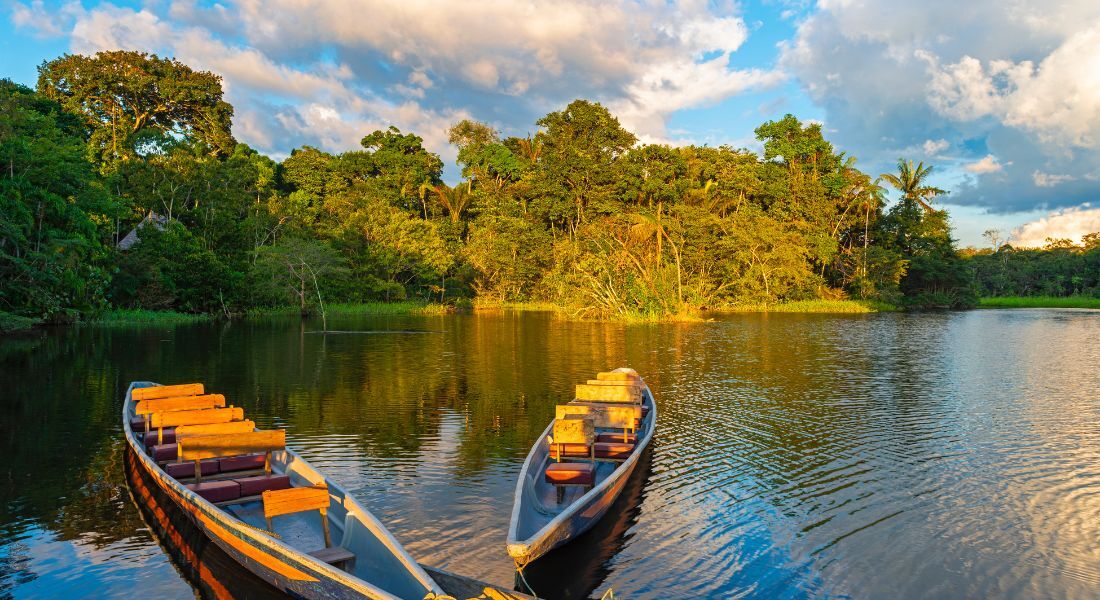 Para manter a resiliência da Amazônia, os autores sugerem uma combinação de esforços