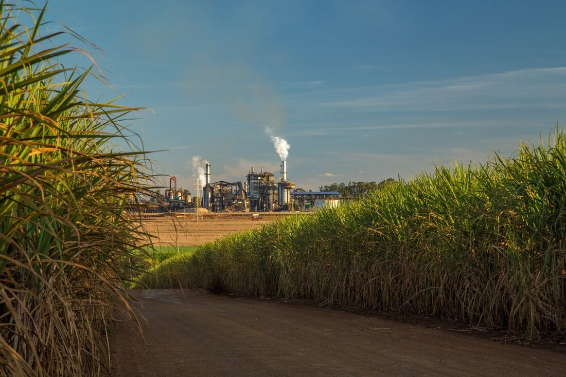 O crescimento das cooperativas de crédito se deve, em grande parte, à proximidade dos cooperados, como os produtores agropecuários