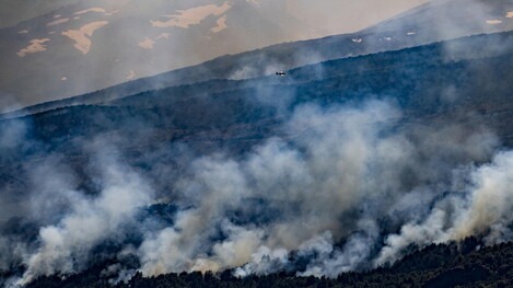 Um incêndio no sul da argentina, ainda fora de controle, consumiu mais de 3.000 hectares de uma floresta nativa