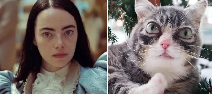 Emma Stone em 'Pobres criaturas' e a gata Winky: doppelgängers? 