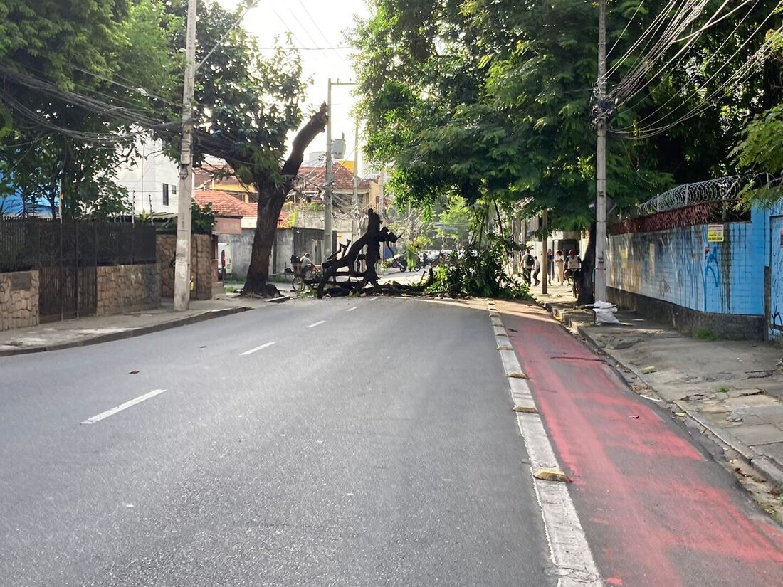 Interdição na Estrada do Arraial por queda de árvore 