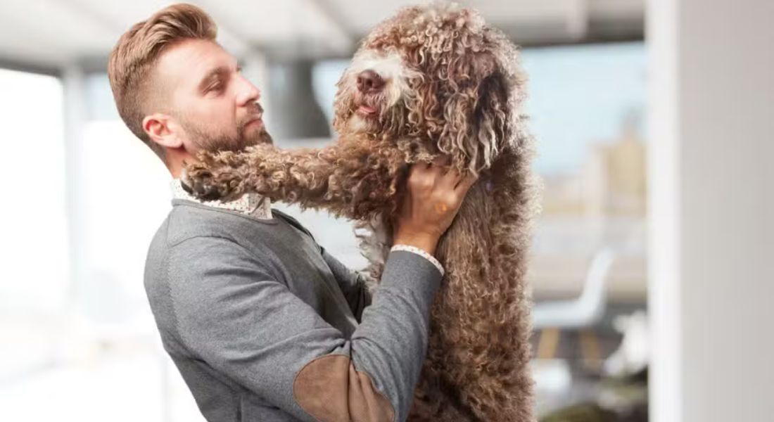 Instituição de caridade está convocando pessoas com barbas, tatuagens e piercings para ajudar a treinar a próxima geração de cães-guia