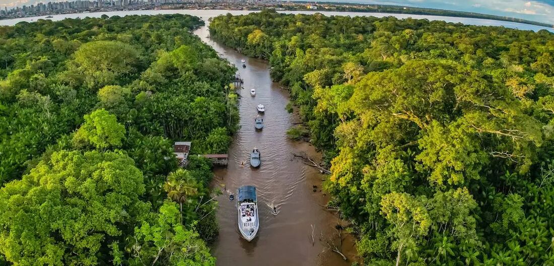 Brasil e França apostam em programa de investimentos de  1 bilhão (cerca de R$ 5,4 bilhões) em projetos de bioeconomia (economia sustentável) para a Amazônia Legal brasileira