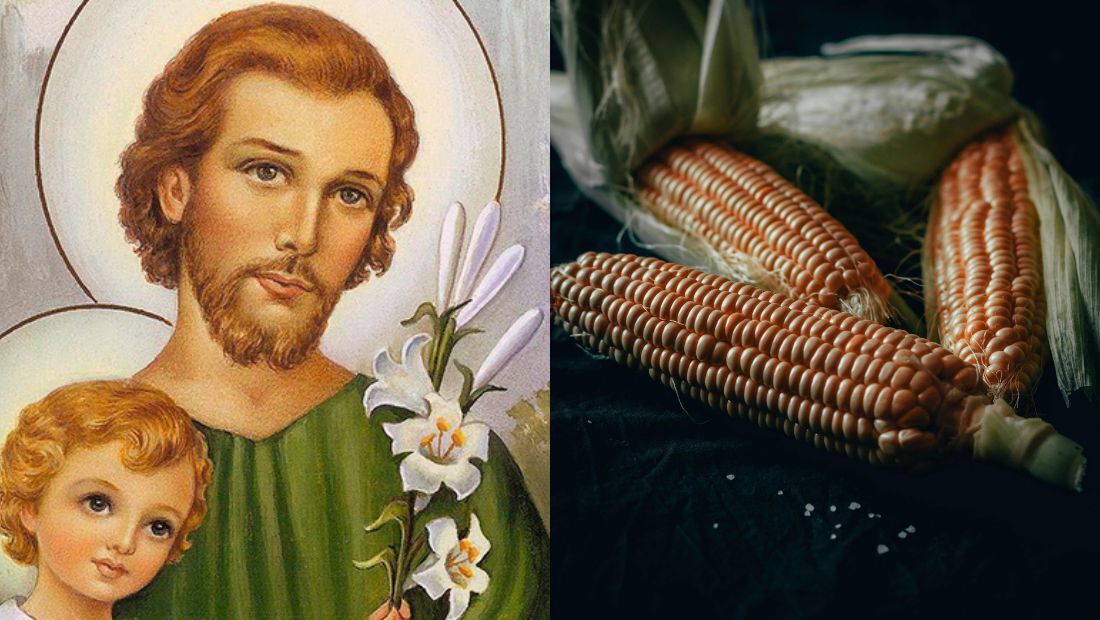 Dia 19 de março é considerado o dia de São José e o dia do plantio de milho