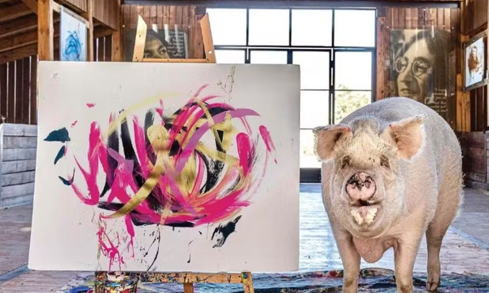 A porca Pigcasso ao lado de uma pintura feita por ela