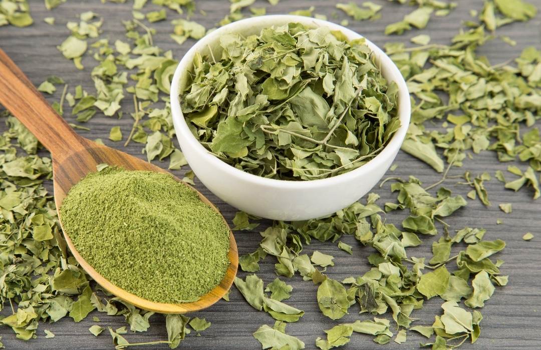 A moringa possui 47 antioxidantes