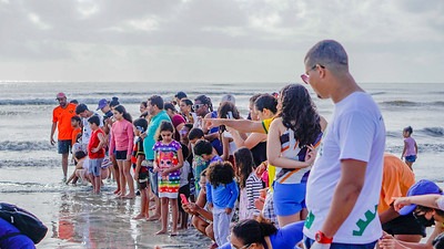 Pessoas acompanham nascimento das tartarugas