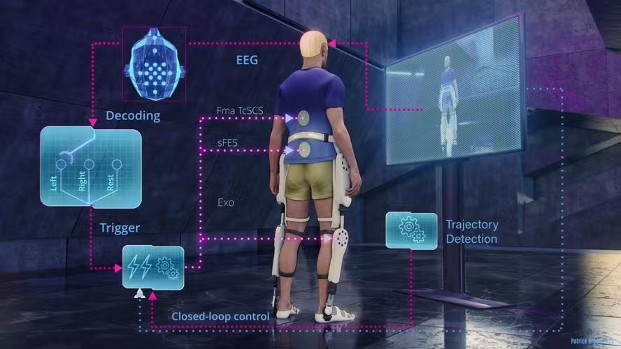 Interface cérebro-máquina desenvolvida por Nicolelis que será usada na neuroreabilitação de múltiplas doenças neurológicas no polo italiano