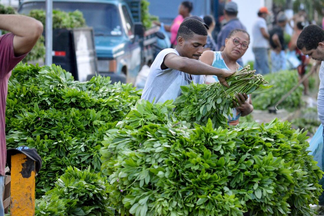 Feira acontece nesta quinta-feira (28)