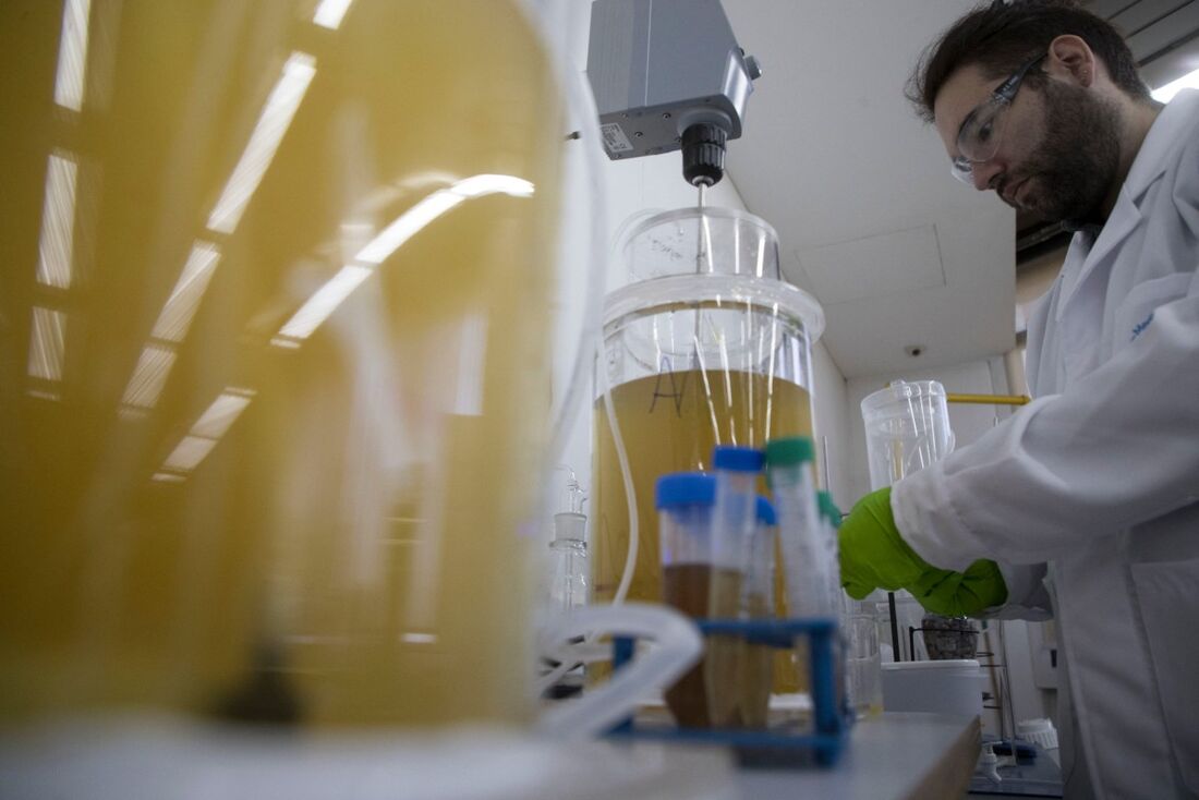 Cristobal Avila, estudante e gerente de suporte técnico do laboratório ambiental da Universidade Adolfo Ibanez, trabalha com amostras de urina usadas para criar fertilizante à base de urina e água do mar em Santiago