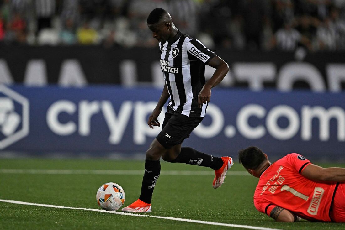 Botafogo se recupera na Libertadores 