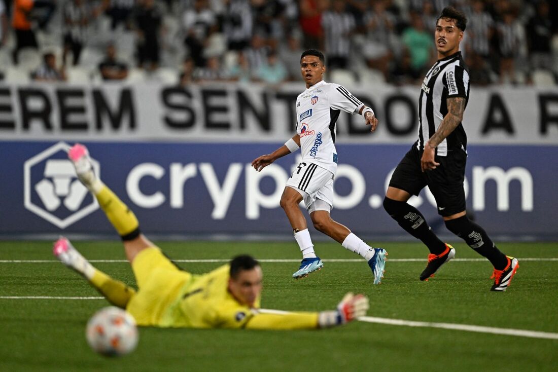 Botafogo perdeu em casa na estreia da Libertadores 