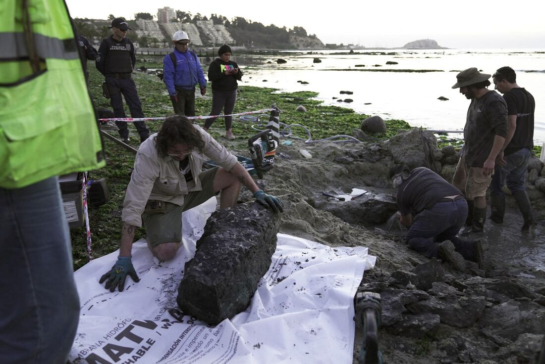 Parte da última descoberta de um Elasmosaurus - espécie extinta há 70 milhões de anos