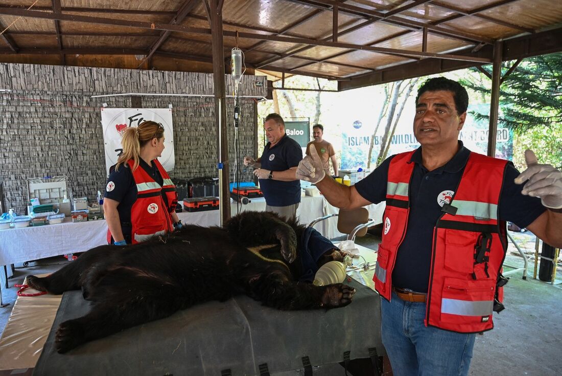 Zoológico de Islamabad se tornou um centro de reabilitação para animais maltratados