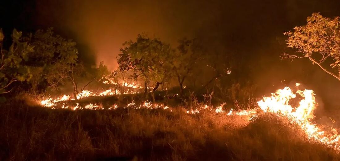 A principal causa dos incêndios são as secas na Amazônia, cada vez mais frequentes e intensas