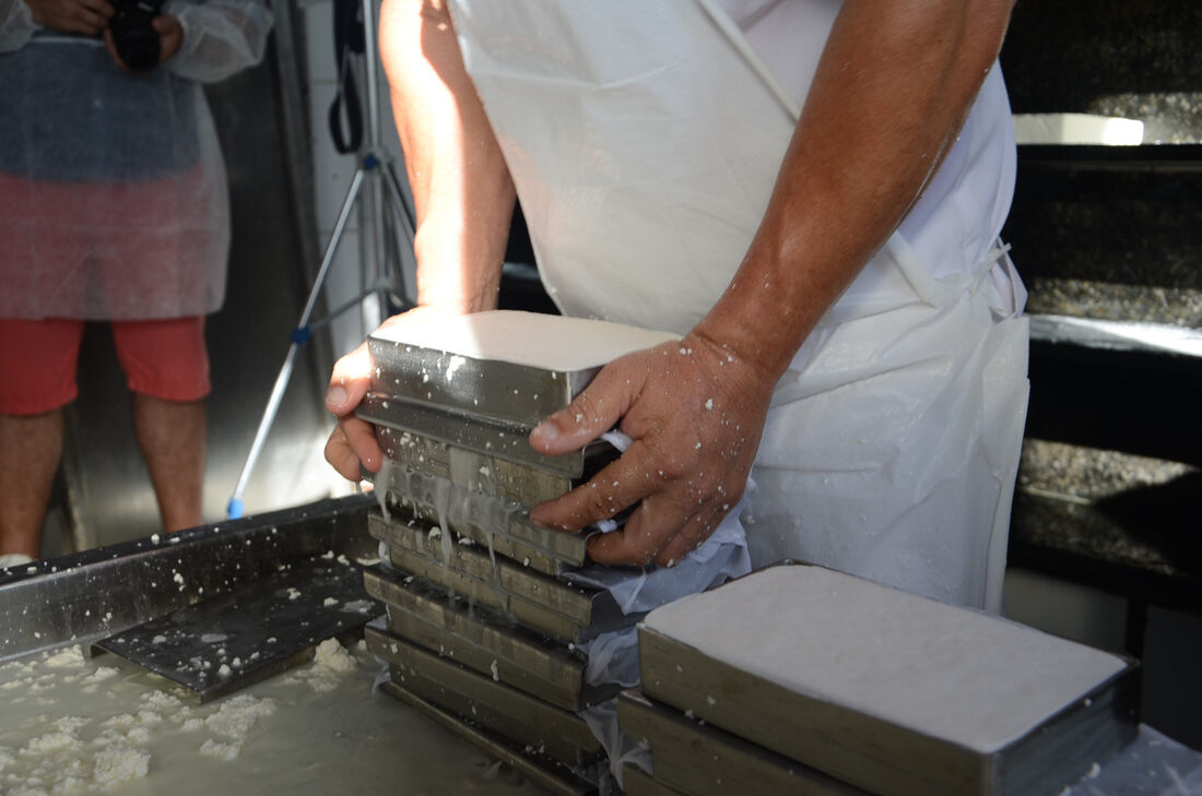 Produção de queijo coalho artesanal da empresa Leite Nobre, localizada em Venturosa, no Agreste de Pernambuco