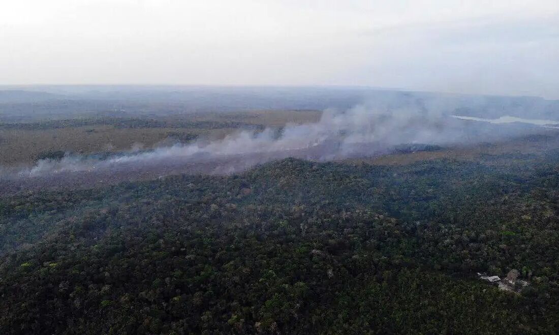 Geral Calendário define áreas em emergência ambiental por incêndio florestal