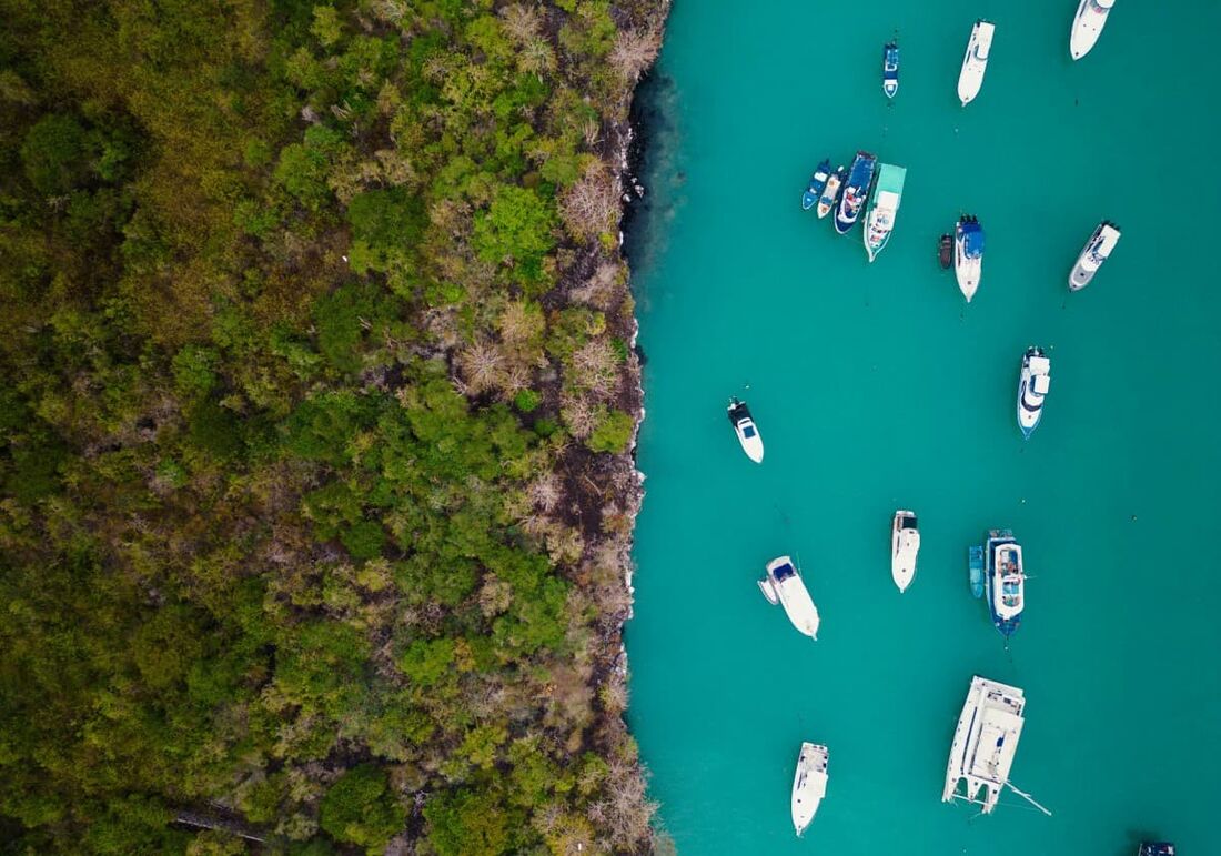 Vista aérea de barcos próximos à costa em Puerto Ayora, Galápagos, Equador