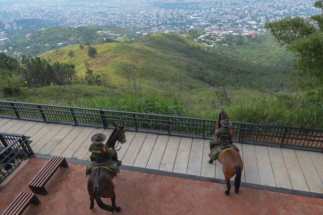  Dissidentes da extinta guerrilha FARC da Colômbia estão controlando o local da COP16 de 2024 sobre biodiversidade