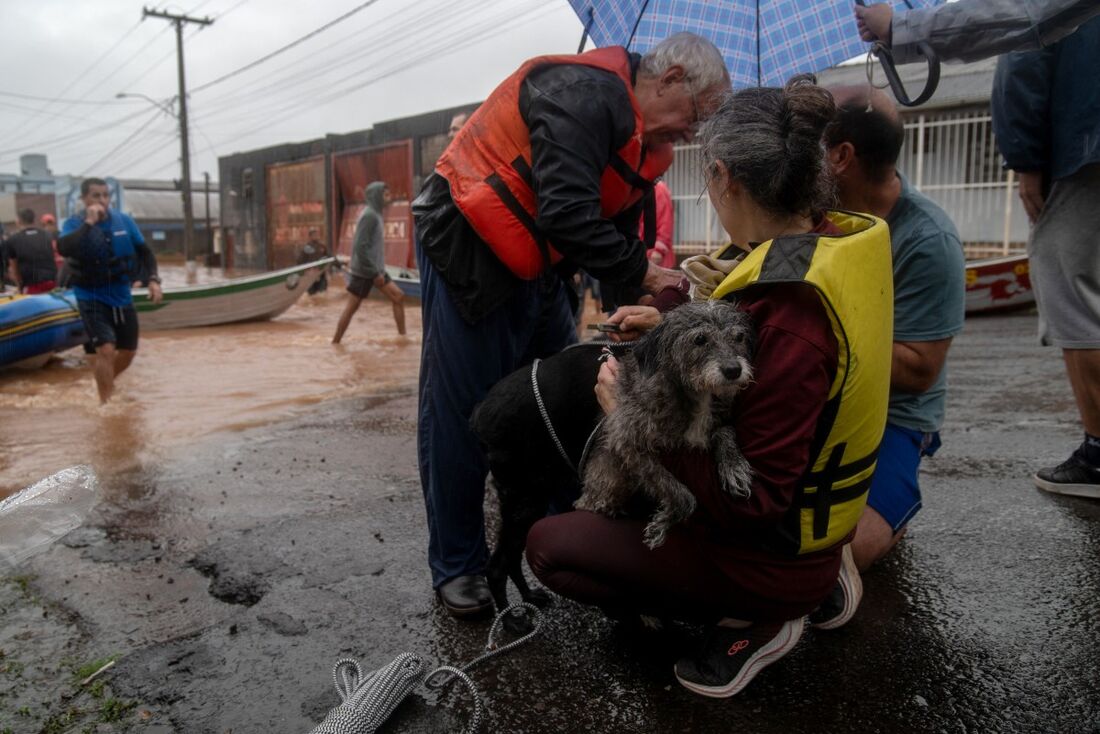 Cachorro sendo resgatado de área inundada no Rio Grande do Sul