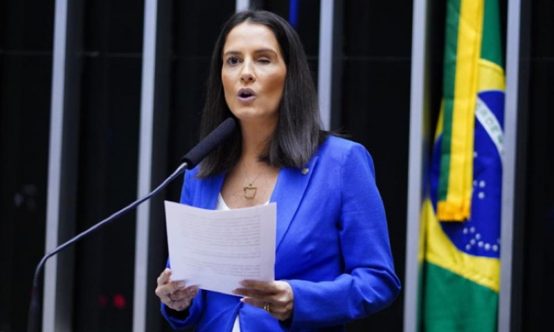 Deputada Amália Barros