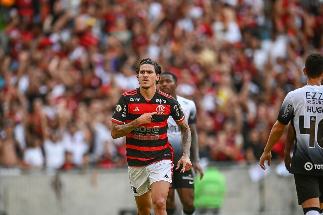 Pedro marcou mais um gol para o Flamengo no Brasileirão