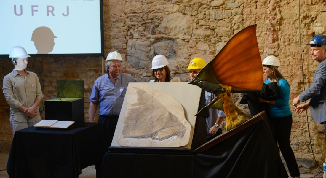 Doação de obras para o Museu Nacional, no Rio de Janeiro