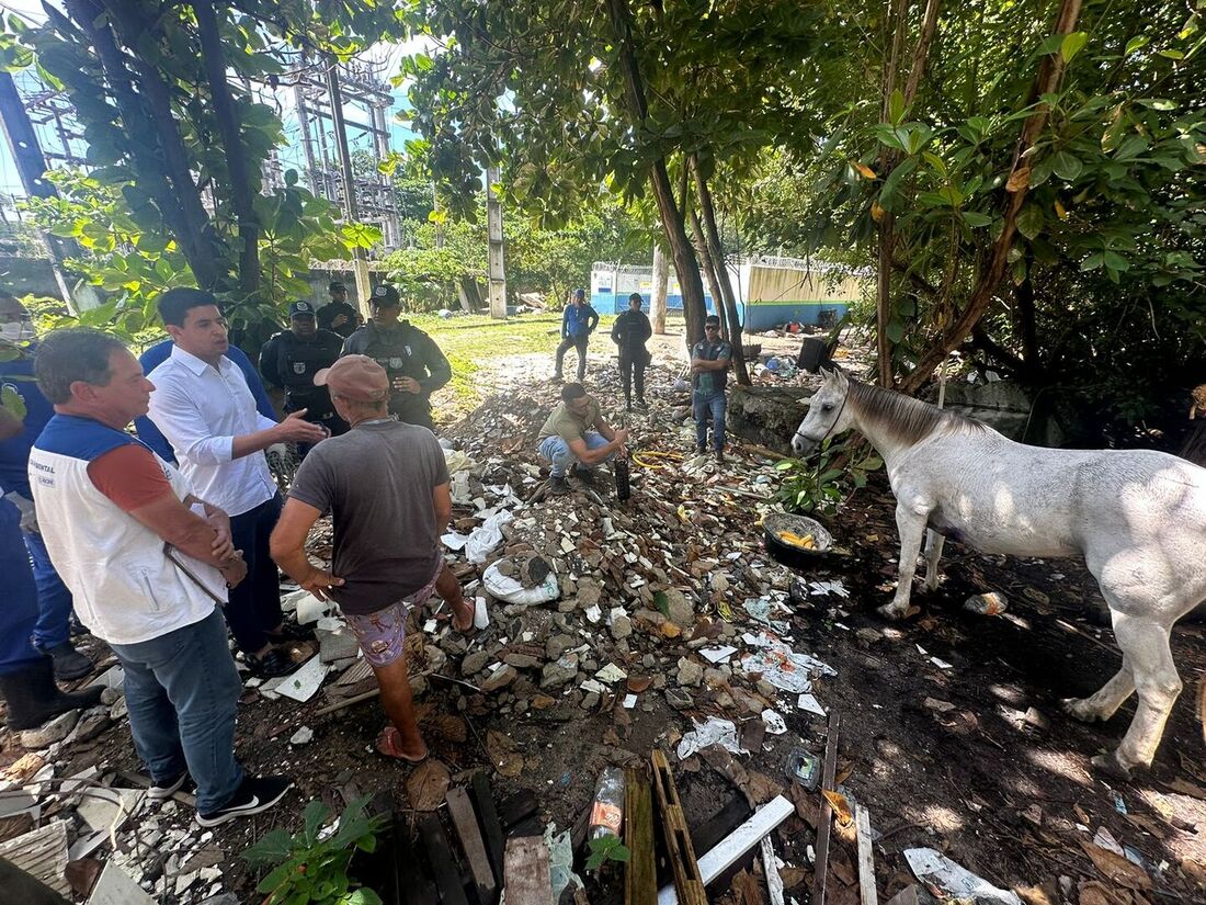 Operação da Prefeitura do Recife desobstrui cursos d'água do Canal do Jordão, em Boa Viagem