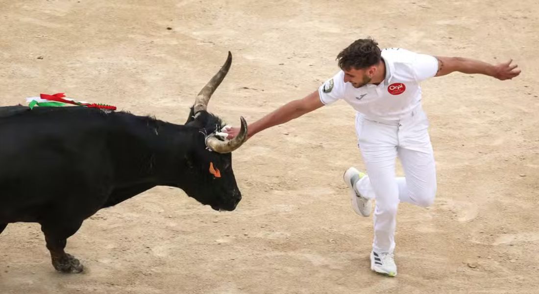 Homem escapa após tentar pegar atributos de um touro durante uma corsa camarguenca, um esporte tradicional nas arenas da França