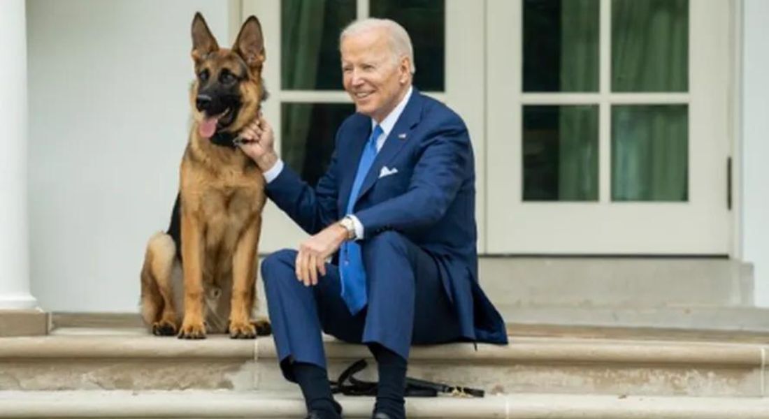 O presidente dos Estados Unidos, Joe Biden, posa com o 'primeiro-cachorro' Commander