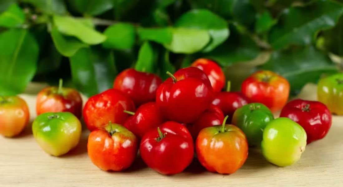 A acerola é rica em vitamina C