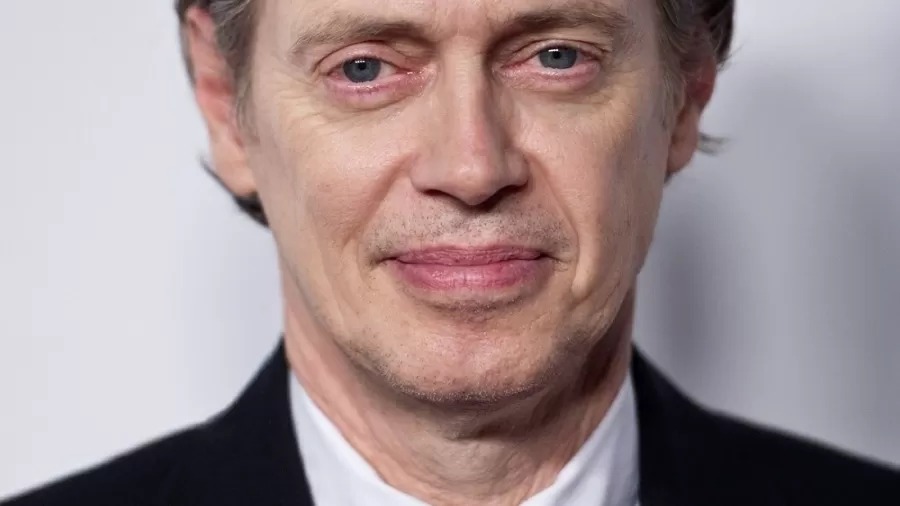 Ator Steve Buscemi é agredido em Nova York com golpe no rosto